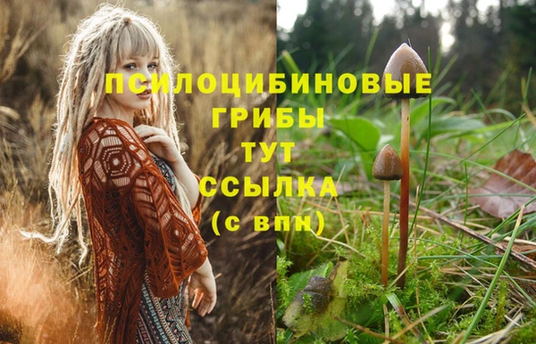 дурь Алзамай