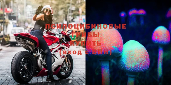 дурь Алзамай