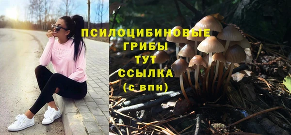 дурь Алзамай