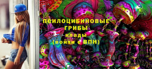 дурь Алзамай