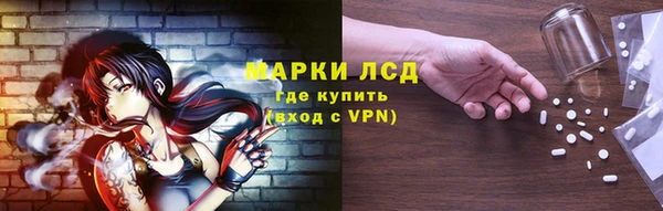 дурь Алзамай