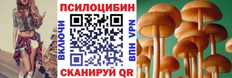Галлюциногенные грибы Psilocybine cubensis  Обоянь 